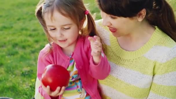 Fiatal anya játszik lányával, a parkban — Stock videók