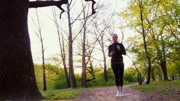 Corrida matinal no bosque, tiro no ponto mais baixo — Vídeo de Stock