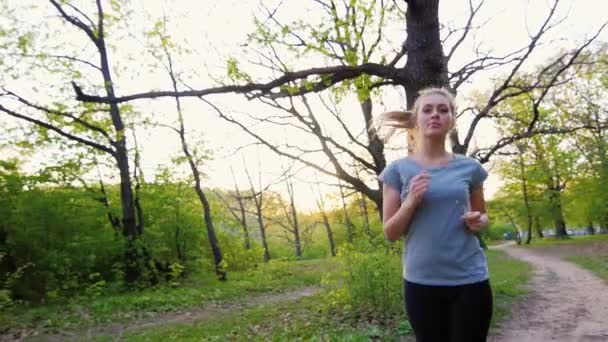 Mooie vrouw in T-shirt maakt een run in het voorjaar forest — Stockvideo