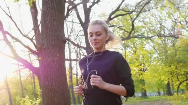 Jogging na floresta no fundo do pôr-do-sol . — Vídeo de Stock