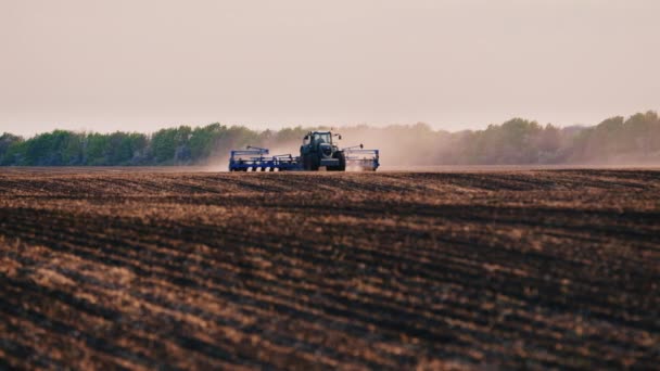 A traktor egy mező, napraforgó kocák működik. A kamera pásztázza a traktor — Stock videók