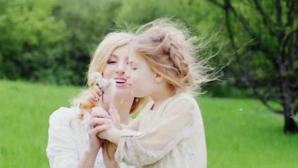 Mom and daughter having fun - with blow on dandelions — Stock Video