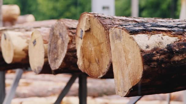 Cadute di pioggia sul mucchio di legname da costruzione — Video Stock