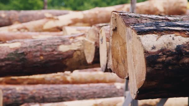 Las gotas de lluvia caen sobre una pila de madera de construcción — Vídeo de stock