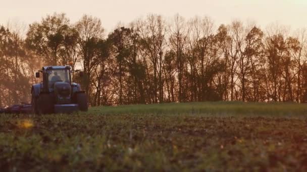 Trekker ploegen een veld in de stralen van de ondergaande zon — Stockvideo