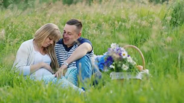 Een zwangere vrouw met haar echtgenoot ontspannen op een groene weide — Stockvideo