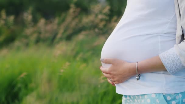 Womans w ciąży brzuch. Mama trzyma ręce na brzuchu. Ilość wolnego miejsca dla tytuły i tekst — Wideo stockowe