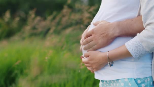 Manos de una mujer embarazada y su marido sosteniendo el vientre — Vídeos de Stock