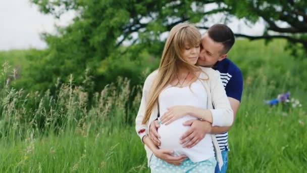 Toekomstige ouders. Een zwangere vrouw met haar echtgenoot knuffelen in het park — Stockvideo