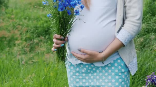 Steadicam shot: Portrait of a young pregnant woman walking on the meadow with a bouquet of wildflowers — Stock Video