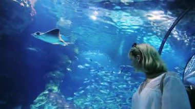 Bir kadın bir sürü içinde belgili tanımlık akvaryum balık bakar. Cam tavan ile tünelde olması gerektiği