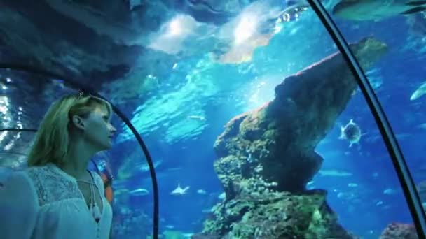 Eine Frau betrachtet eine Menge Fische im Aquarium. es sollte im Tunnel mit Glasdecke sein — Stockvideo