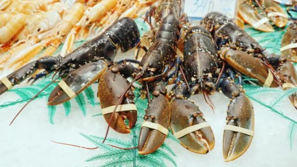 Owoce morza - wielkie homary i kraby na rynku licznik, popularny wśród turystów la Boqueria, Hiszpania — Wideo stockowe