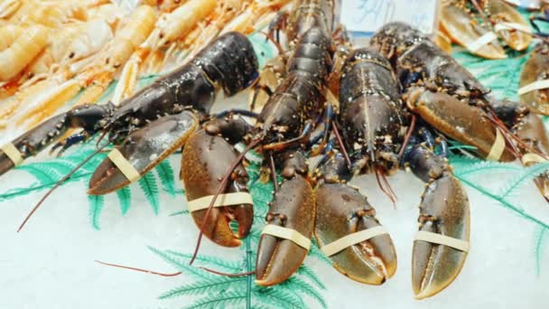 Seafood - great lobsters and crabs on the counter market popular with tourists la Boqueria, Spain — Stock Video