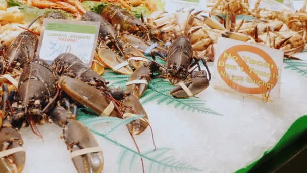 Barcelona, España - 15 de junio de 2016: Langostas y cangrejos vivos, agitar garras. El famoso mercado de la Boquería en Barcelona — Vídeos de Stock
