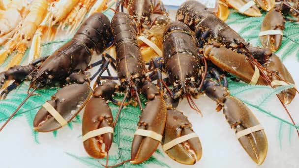 Langostas vivas y cangrejos, revuelva las garras. El famoso mercado de la Boquería en Barcelona — Vídeo de stock