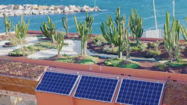 Paneles solares en el techo del edificio con cactus. En el fondo se ve el mar — Vídeos de Stock