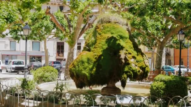 Ovanlig fontän - sten täckt av mossa. Från sten rinner vatten. Spanien, Katalonien — Stockvideo