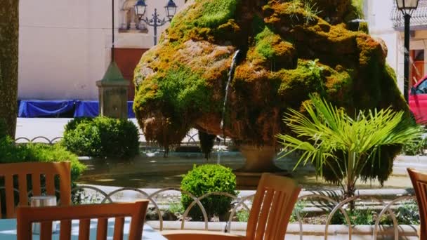 Ovanlig fontän - sten täckt av mossa. Från sten rinner vatten. Spanien, Katalonien — Stockvideo