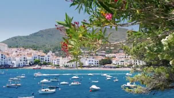 Blick auf den schönen Ferienort Cadaques in Spanien. Beliebt bei Touristen weiße Stadt, die Bucht mit vielen Booten und Yachten — Stockvideo