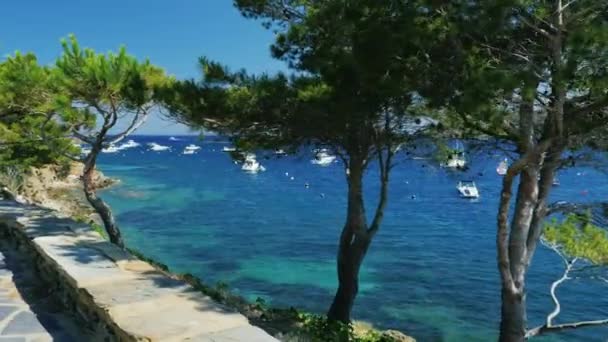 Steadicam POV view shot: Una pintoresca bahía con barcos y yates en el resort mediterráneo en España — Vídeo de stock