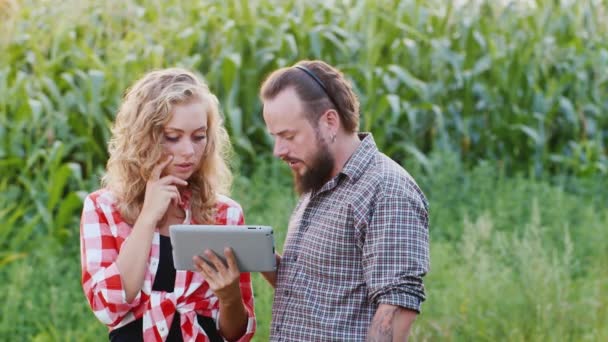 Farmář muž a žena jsou pracuje kolem kukuřičného pole, při použití tabletu