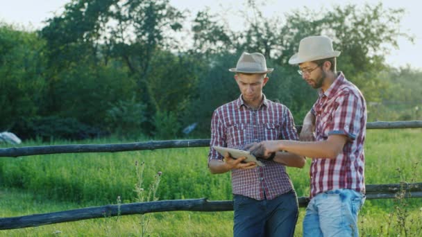 Dos jóvenes agricultores de pie junto a una valla en el campo, charlando, disfrutando de la tableta — Vídeo de stock