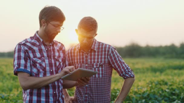 Zwei junge Bauern, die bei Sonnenuntergang auf einem Feld arbeiten. Tablet genießen — Stockvideo