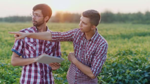 Dois jovens agricultores obschayutsya do trabalho estão no campo ao pôr do sol. Segure o comprimido nas mãos — Vídeo de Stock