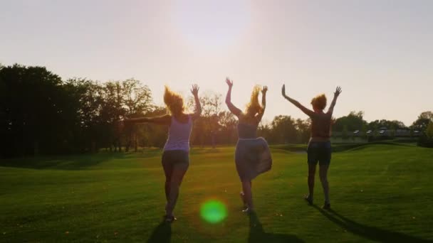 Vrienden lopend naar de zon. Groep jongeren vreugdevol loopt door een weiland. Concept - vrijheid, jeugd en gezondheid — Stockvideo