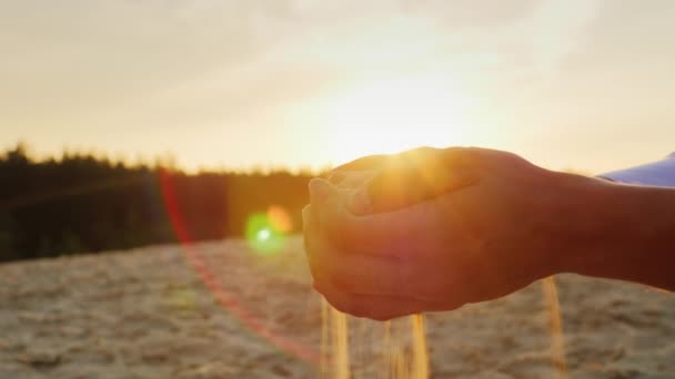 Homok ömlik ki a mans kezében a naplemente. Koncepció: a mulandóság, az idő, változások életre — Stock videók