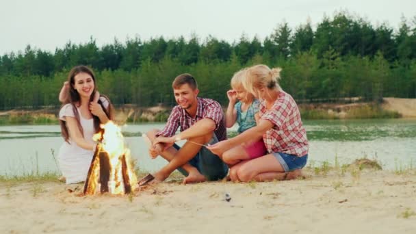 Ampio gruppo, tre adulti e due bambini si rilassano accanto al fuoco. Marshmallow arrosto su bastoncini. Un buon momento — Video Stock