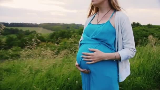 Steadicam shot: jonge zwangere vrouw loopt op een groene weide — Stockvideo