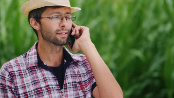 Jovem agricultor atraente falando ao telefone. Contra o fundo de um fundo verde desfocado com milho — Vídeo de Stock