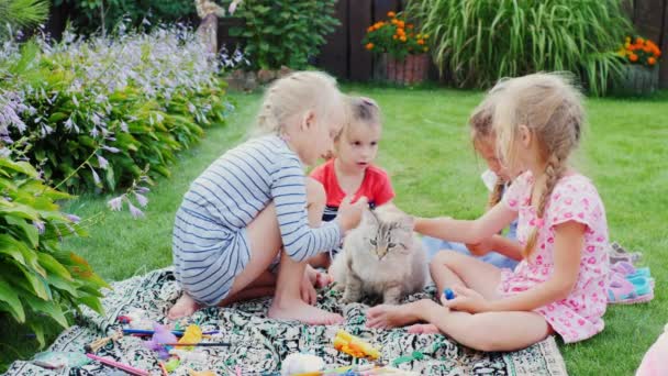 Flickor som leker med en stor katt. Smekte den. Sitter på gården i hans hus — Stockvideo