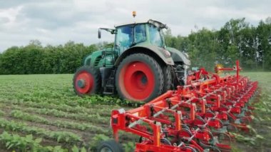 Atış Steadicam: traktör alan Kültivatör çeker: hangi otlar keser