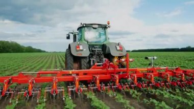 Steadicam atış sinek: traktör çeker bitkiler ayıklayacaktır için alan, tarımsal bir mekanizma üzerinde