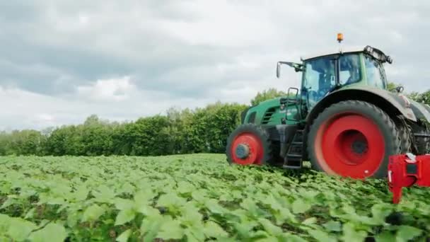 Táhne traktor na poli zemědělské mechanismus pro plení rostlin. Boční pohled — Stock video