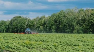 Traktör tarla kültivatör çeker: hangi weeds keser. Ormanın arka planına ve güzel gökyüzüne karşı