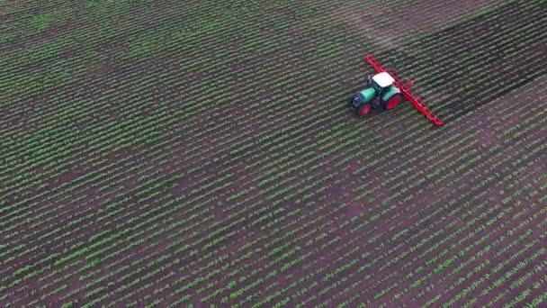 Traktor drar på fältet jordaren: som skär ogräs. AirView — Stockvideo