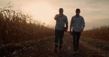 İki çiftçi gün batımında mısır tarlaları arasında sığ bir yolda yürüyor.