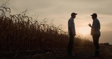 İki çiftçi, başarılı bir anlaşmanın işareti olarak beşlik çaktı.