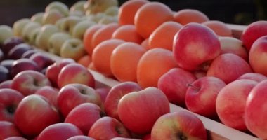 Elmalar ve diğer taze meyveler çiftçi pazarının tezgahında.