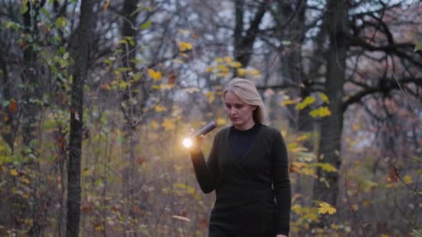 Žena s baterkou v ruce kráčí za soumraku lesem. — Stock video