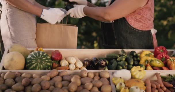 売り手は農家市場で野菜を購入者パッケージに入れる — ストック動画