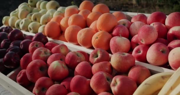 De toonbank met fruit - appels, sinaasappels en bananen. Fruit van lokale boeren op de kermis — Stockvideo