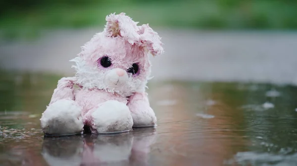 A cute toy rabbit is sitting in a puddle in the rain — Stock Photo, Image