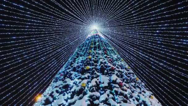 Árvore de Natal alta decorada com guirlandas brilhantes — Vídeo de Stock