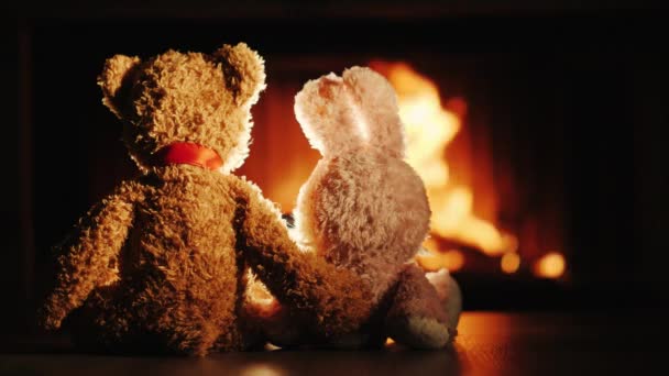Ведмідь і кролик у обіймах сидять біля каміна. День Святого Валентина — стокове відео