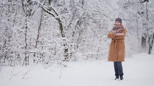 Kobieta stoi w zimowym parku, podziwiając śnieg — Wideo stockowe